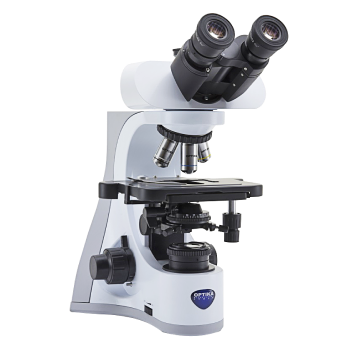 Гистология