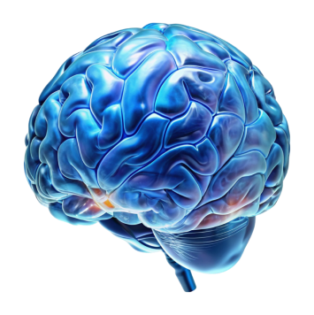 Неврология